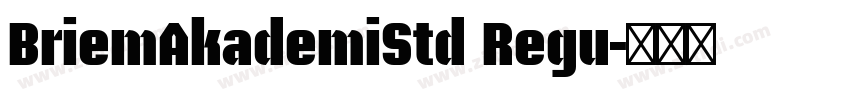 BriemAkademiStd Regu字体转换